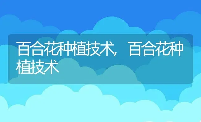 百合花种植技术,百合花种植技术 | 养殖科普