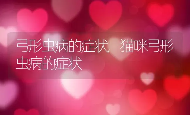 弓形虫病的症状,猫咪弓形虫病的症状 | 养殖科普