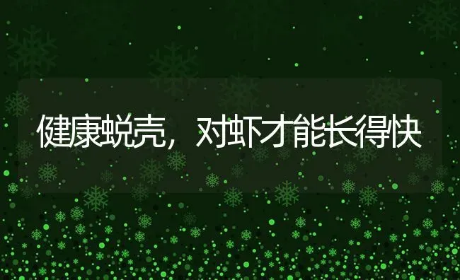 健康蜕壳,对虾才能长得快 | 养殖技术大全