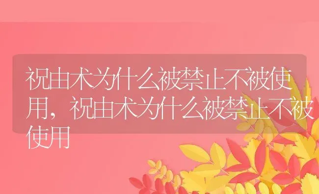 祝由术为什么被禁止不被使用,祝由术为什么被禁止不被使用 | 养殖科普