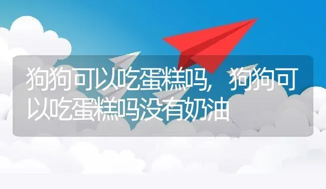 狗狗可以吃蛋糕吗,狗狗可以吃蛋糕吗没有奶油 | 养殖资料