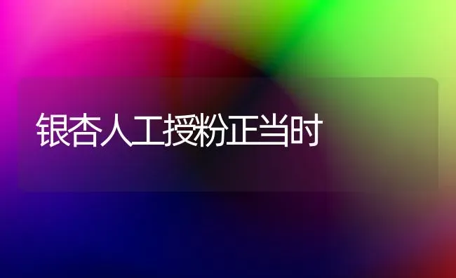 银杏人工授粉正当时 | 养殖技术大全