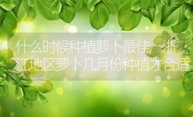 什么时候种植萝卜最佳,浙江地区萝卜几月份种植才合适 | 养殖学堂
