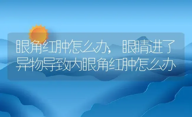 眼角红肿怎么办,眼睛进了异物导致内眼角红肿怎么办 | 养殖资料