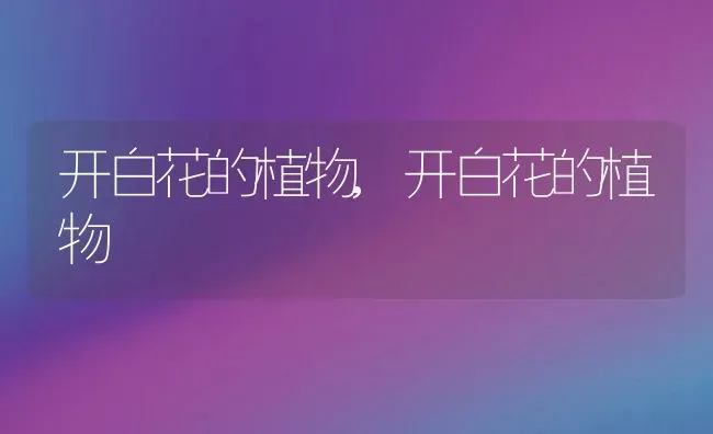 开白花的植物,开白花的植物 | 养殖科普