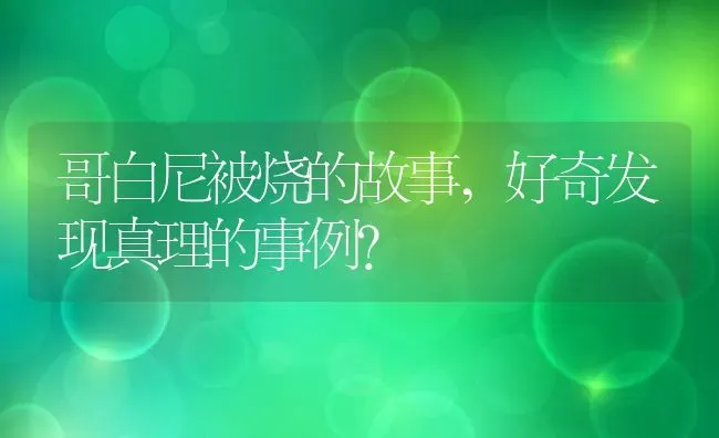 哥白尼被烧的故事,好奇发现真理的事例？ | 养殖科普