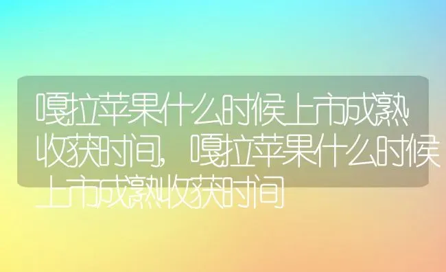 嘎拉苹果什么时候上市成熟收获时间,嘎拉苹果什么时候上市成熟收获时间 | 养殖科普