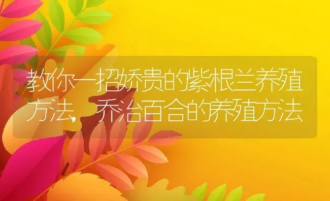 教你一招娇贵的紫根兰养殖方法,乔治百合的养殖方法 | 养殖学堂