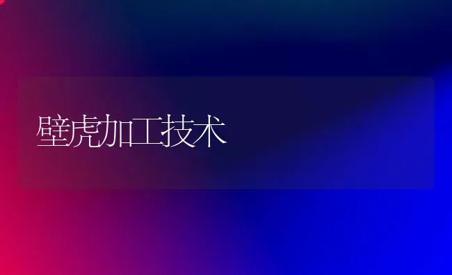 壁虎加工技术 | 养殖技术大全