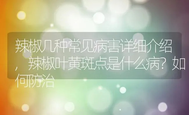 辣椒几种常见病害详细介绍,辣椒叶黄斑点是什么病？如何防治 | 养殖学堂