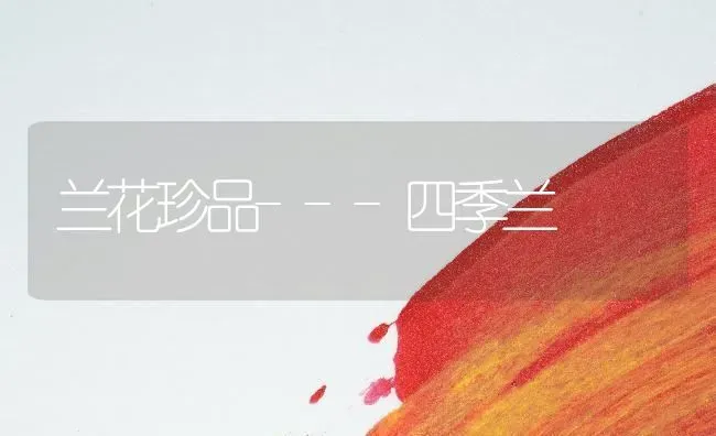 兰花珍品---四季兰 | 养殖技术大全