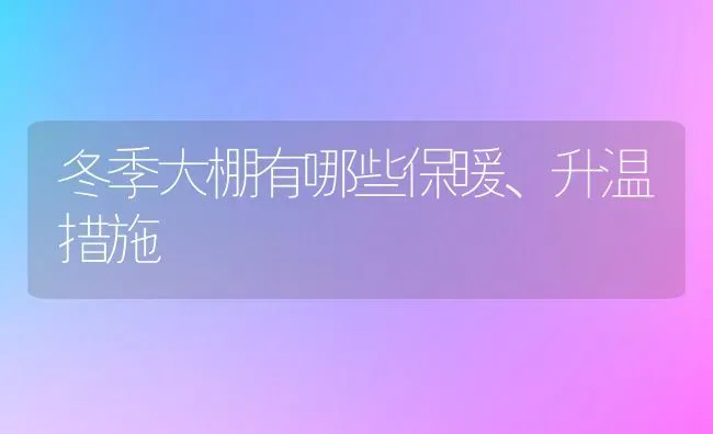 冬季大棚有哪些保暖、升温措施 | 养殖技术大全