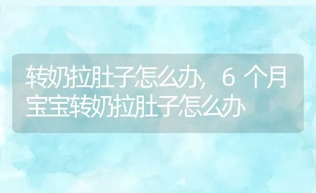 转奶拉肚子怎么办,6个月宝宝转奶拉肚子怎么办 | 养殖科普