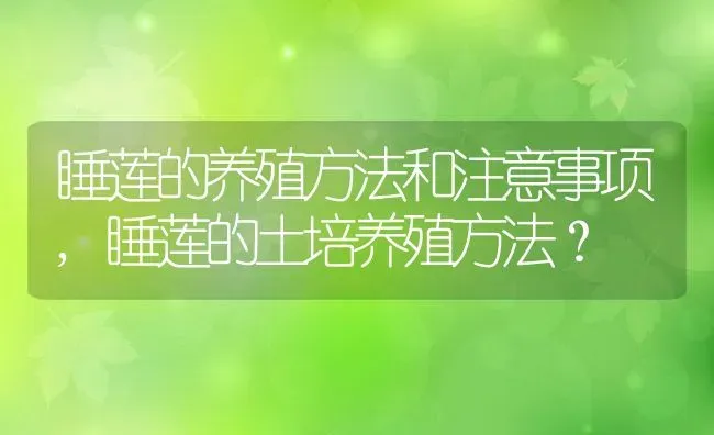 睡莲的养殖方法和注意事项,睡莲的土培养殖方法？ | 养殖科普