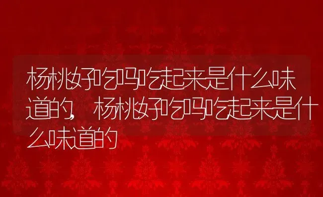 杨桃好吃吗吃起来是什么味道的,杨桃好吃吗吃起来是什么味道的 | 养殖科普