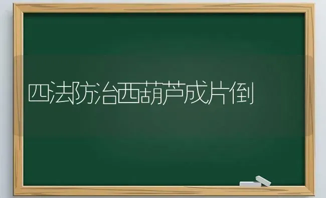 四法防治西葫芦成片倒 | 养殖技术大全