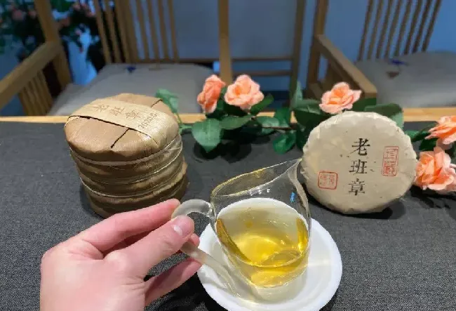 普洱茶为什么喝生不喝熟,喝生普好还是熟普好？