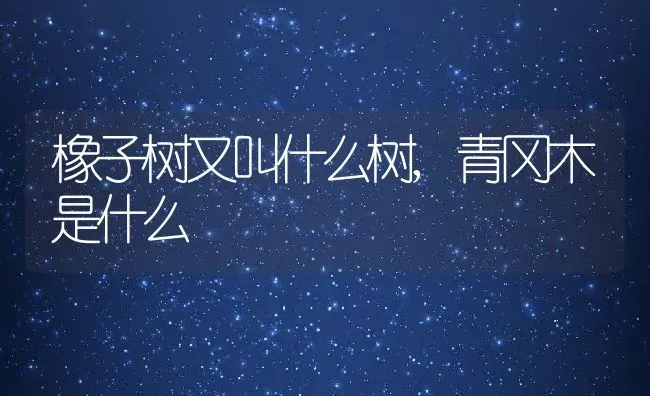 橡子树又叫什么树,青冈木是什么 | 养殖学堂