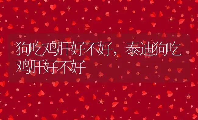 狗吃鸡肝好不好,泰迪狗吃鸡肝好不好 | 养殖科普