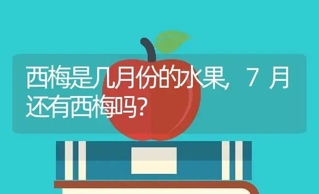 西梅是几月份的水果,7月还有西梅吗？ | 养殖科普