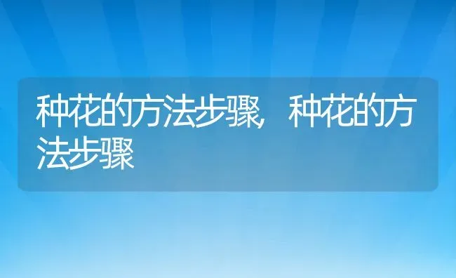 种花的方法步骤,种花的方法步骤 | 养殖科普