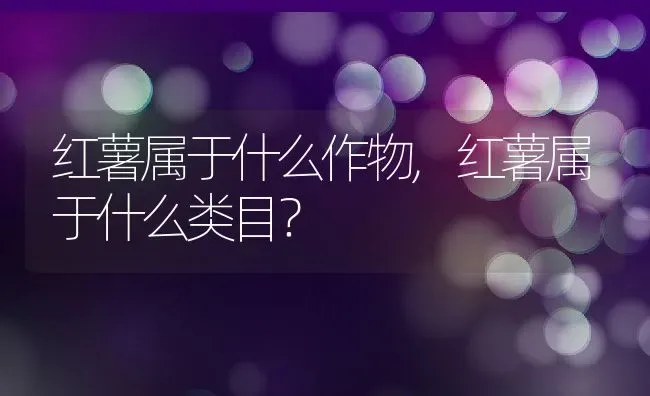红薯属于什么作物,红薯属于什么类目？ | 养殖科普