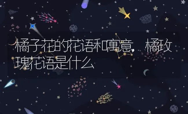 橘子花的花语和寓意,橘玫瑰花语是什么 | 养殖学堂