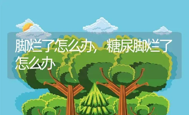 脚烂了怎么办,糖尿脚烂了怎么办 | 养殖科普