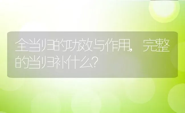 全当归的功效与作用,完整的当归补什么？ | 养殖科普