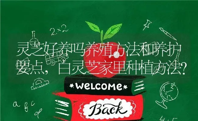 灵芝好养吗养殖方法和养护要点,白灵芝家里种植方法？ | 养殖科普