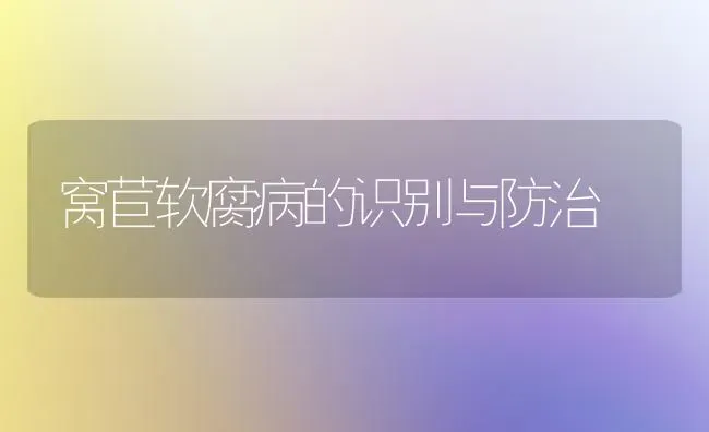 窝苣软腐病的识别与防治 | 养殖知识