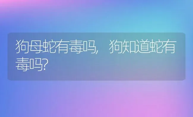 狗母蛇有毒吗,狗知道蛇有毒吗? | 养殖科普