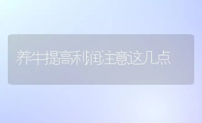 养牛提高利润注意这几点 | 养殖技术大全