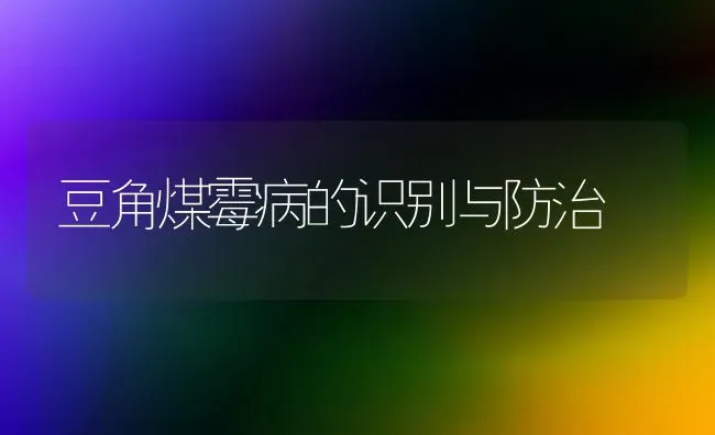 豆角煤霉病的识别与防治 | 养殖知识