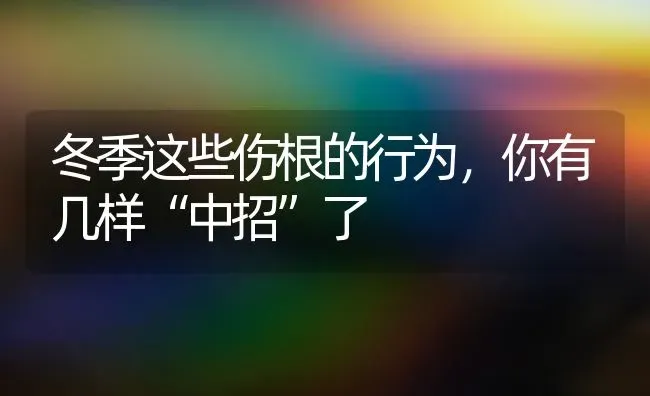 冬季这些伤根的行为,你有几样“中招”了 | 养殖技术大全