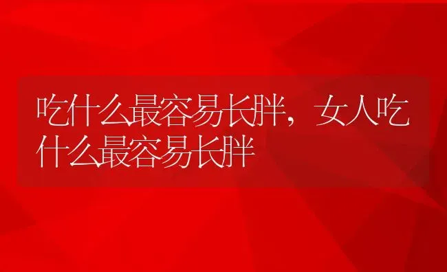 吃什么最容易长胖,女人吃什么最容易长胖 | 养殖资料