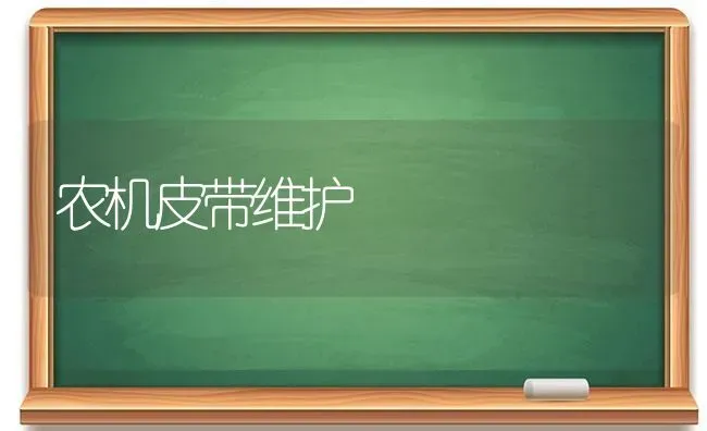 农机皮带维护 | 养殖技术大全