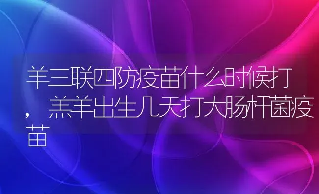 羊三联四防疫苗什么时候打,羔羊出生几天打大肠杆菌疫苗 | 养殖学堂