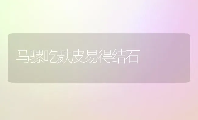 马骡吃麸皮易得结石 | 养殖技术大全