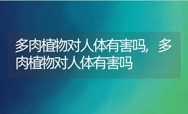 多肉植物对人体有害吗,多肉植物对人体有害吗 | 养殖科普