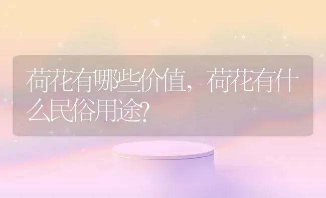 荷花有哪些价值,荷花有什么民俗用途？ | 养殖科普