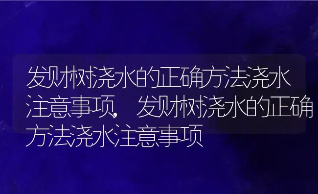 发财树浇水的正确方法浇水注意事项,发财树浇水的正确方法浇水注意事项 | 养殖科普