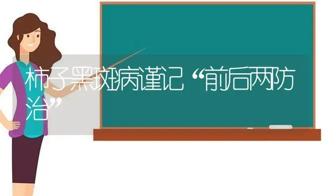 柿子黑斑病谨记“前后两防治” | 养殖技术大全