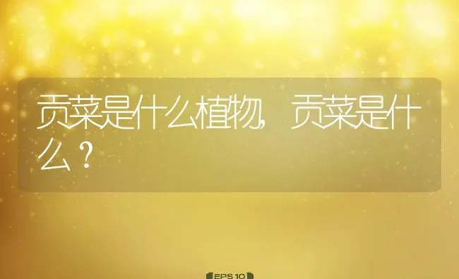 贡菜是什么植物,贡菜是什么？ | 养殖科普