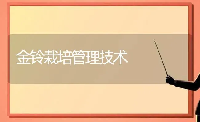 金铃栽培管理技术 | 养殖技术大全