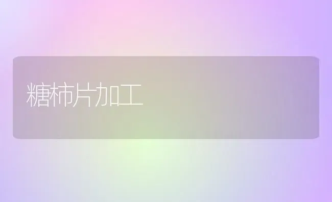 糖柿片加工 | 养殖知识