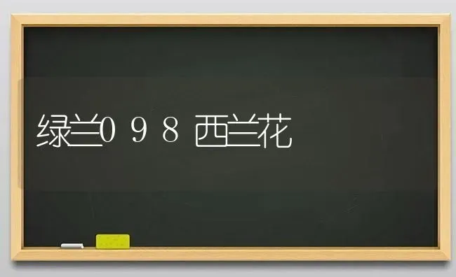 绿兰098西兰花 | 养殖知识