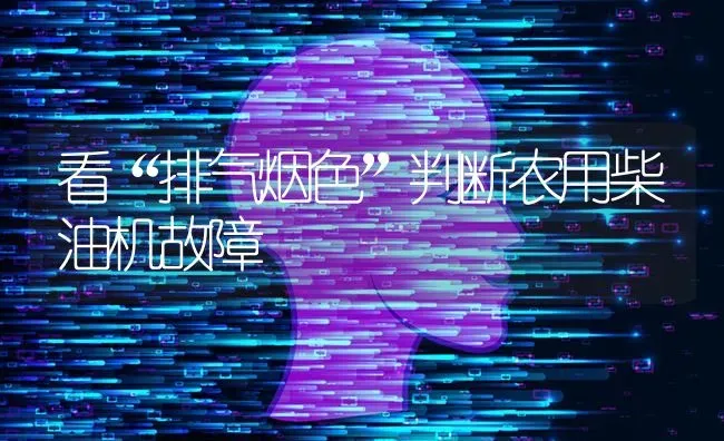 看“排气烟色”判断农用柴油机故障 | 养殖技术大全