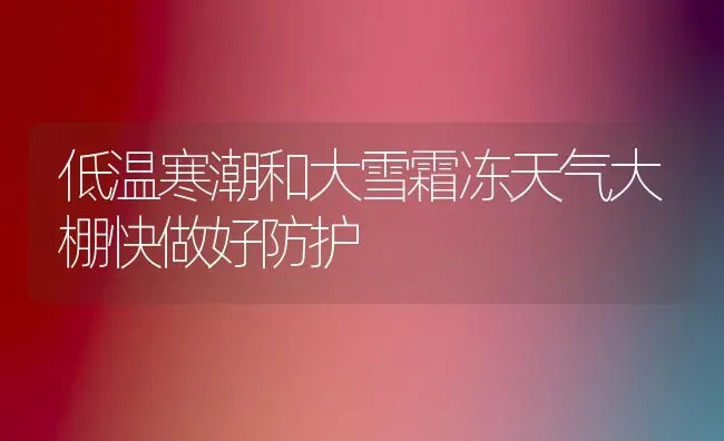 低温寒潮和大雪霜冻天气大棚快做好防护 | 养殖技术大全