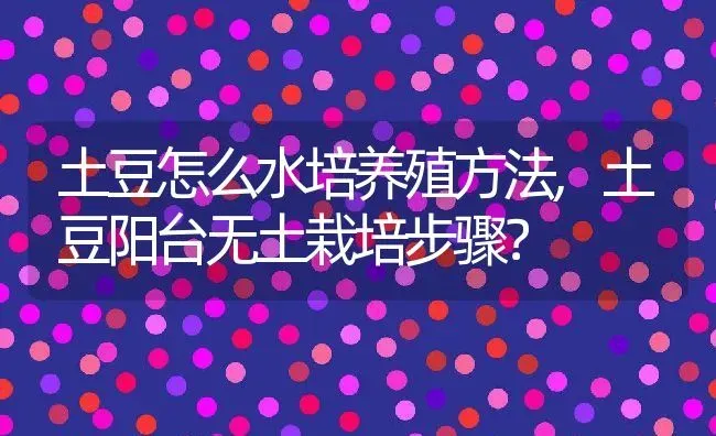 土豆怎么水培养殖方法,土豆阳台无土栽培步骤？ | 养殖科普